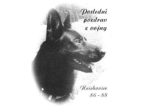 Foto 44